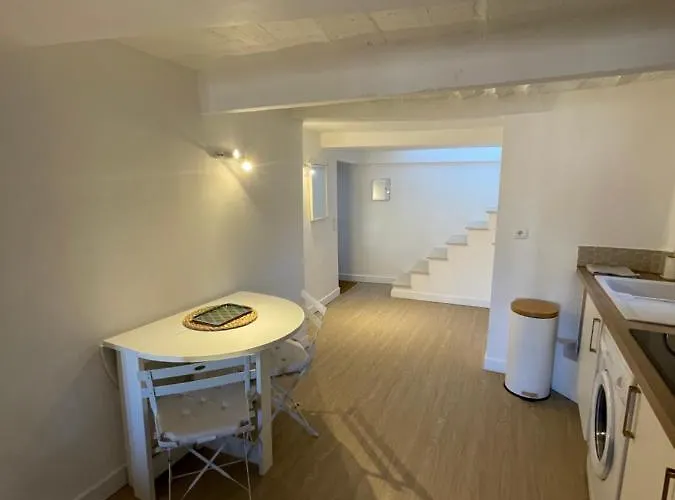 Magnifique Duplex Vieil Lejlighed *